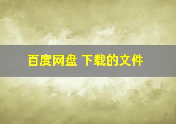 百度网盘 下载的文件